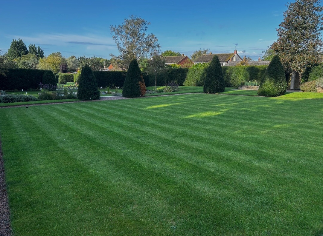 Lawn care and mowing in a Nottingham garden